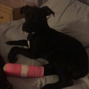 Meet your Posher, Aaron